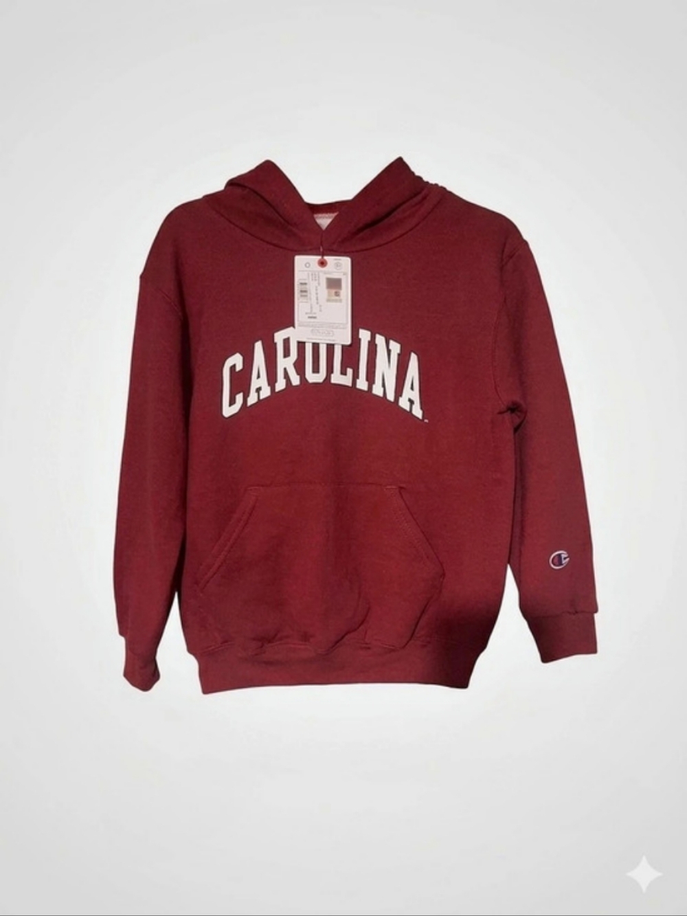 Champion South Carolina Gamecocks Champion Collegiate Pullover Hoodie